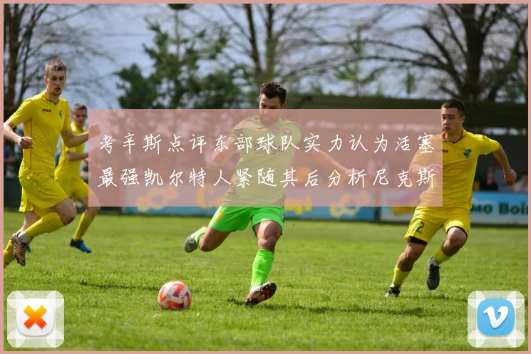 考辛斯点评东部球队实力认为活塞最强凯尔特人紧随其后分析尼克斯不足之处