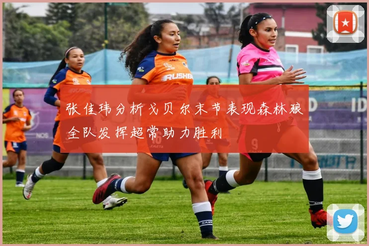 张佳玮分析戈贝尔末节表现森林狼全队发挥超常助力胜利