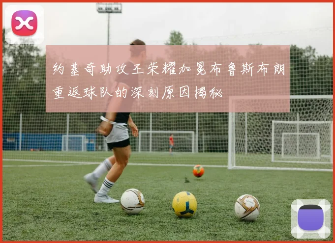 约基奇助攻王荣耀加冕布鲁斯布朗重返球队的深刻原因揭秘