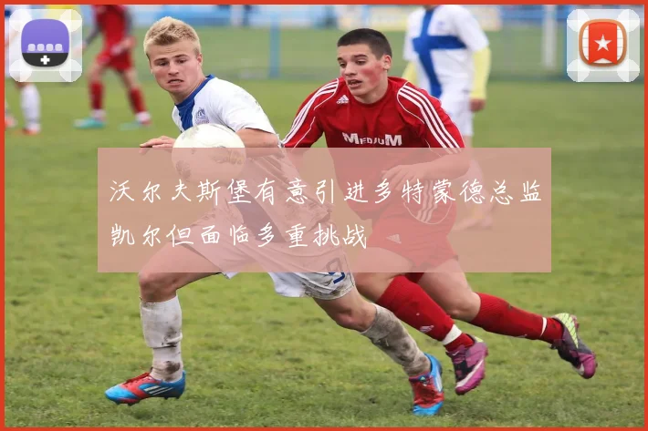 沃尔夫斯堡有意引进多特蒙德总监凯尔但面临多重挑战