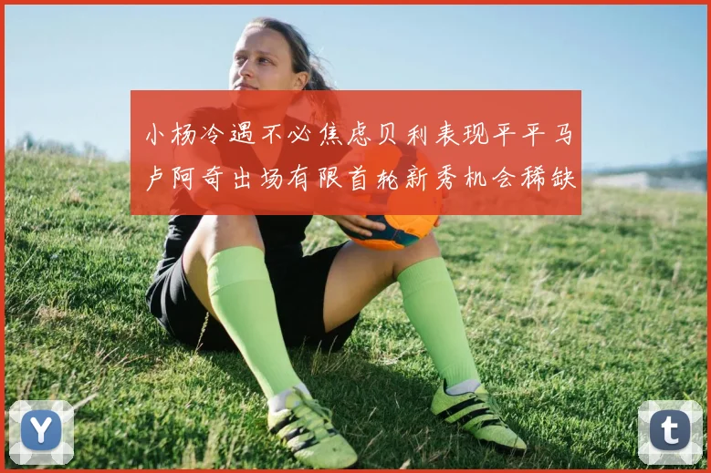 小杨冷遇不必焦虑贝利表现平平马卢阿奇出场有限首轮新秀机会稀缺