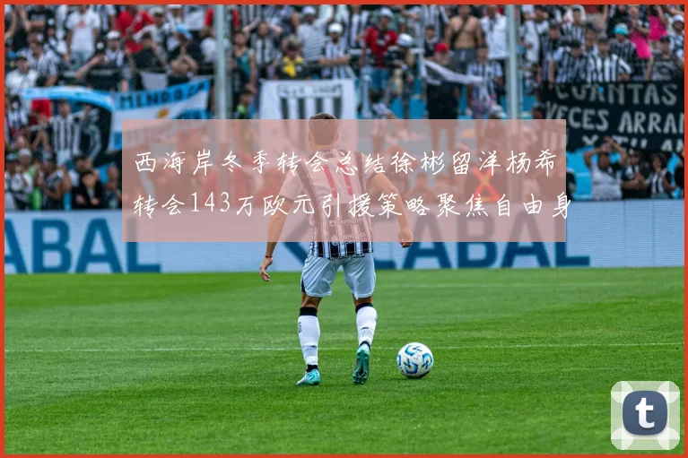 西海岸冬季转会总结徐彬留洋杨希转会143万欧元引援策略聚焦自由身球员